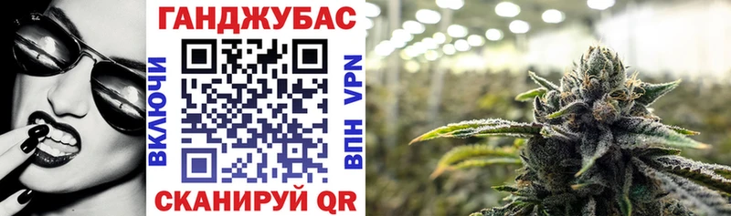 Шишки марихуана план Купить где Кизилюрт